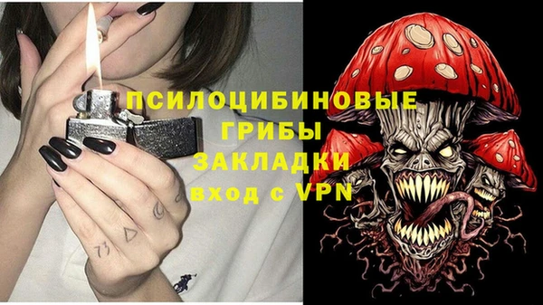 дурь Лабытнанги