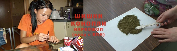 прущие грибы Кострома