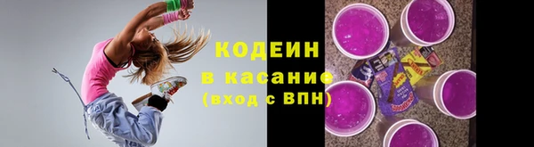 дурь Лабытнанги