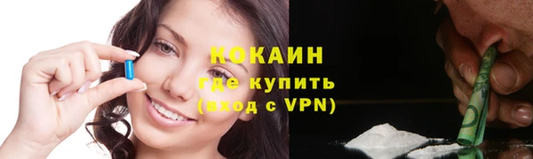 сатива Лагань