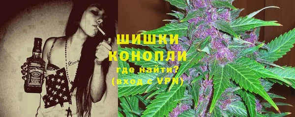 не бодяженный Ладушкин