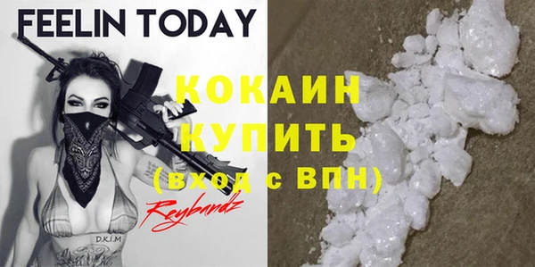 дурь Лабытнанги