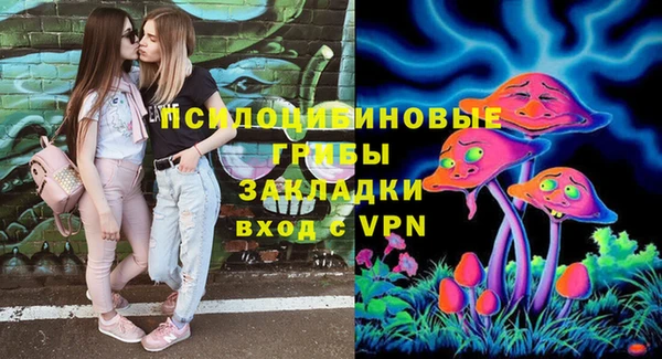 сатива Лагань
